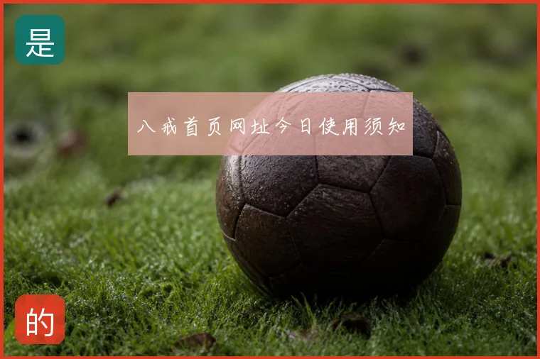 八戒首页网址今日使用须知