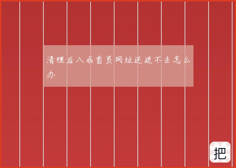 清理后八戒首页网址还进不去怎么办